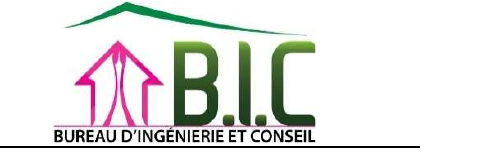 Logo Bureau d'Ingénierie et Conseil